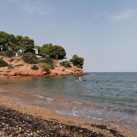Alojamiento Rural Masia Valldeperez إليامبويا المظهر الخارجي الصورة