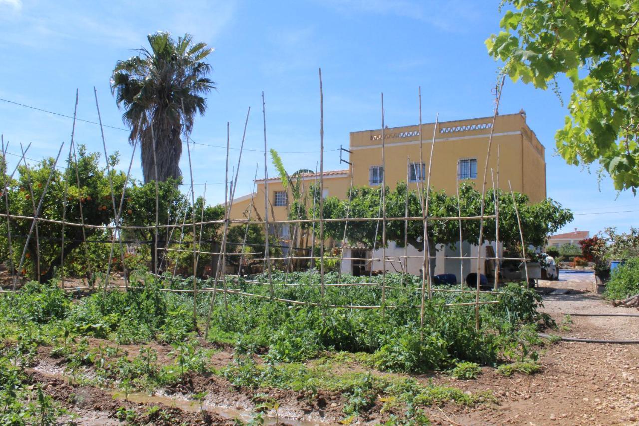Alojamiento Rural Masia Valldeperez إليامبويا المظهر الخارجي الصورة