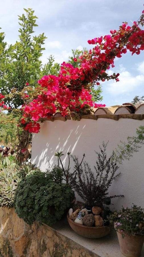 Alojamiento Rural Masia Valldeperez إليامبويا المظهر الخارجي الصورة