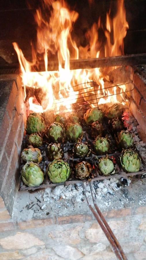 Alojamiento Rural Masia Valldeperez إليامبويا المظهر الخارجي الصورة